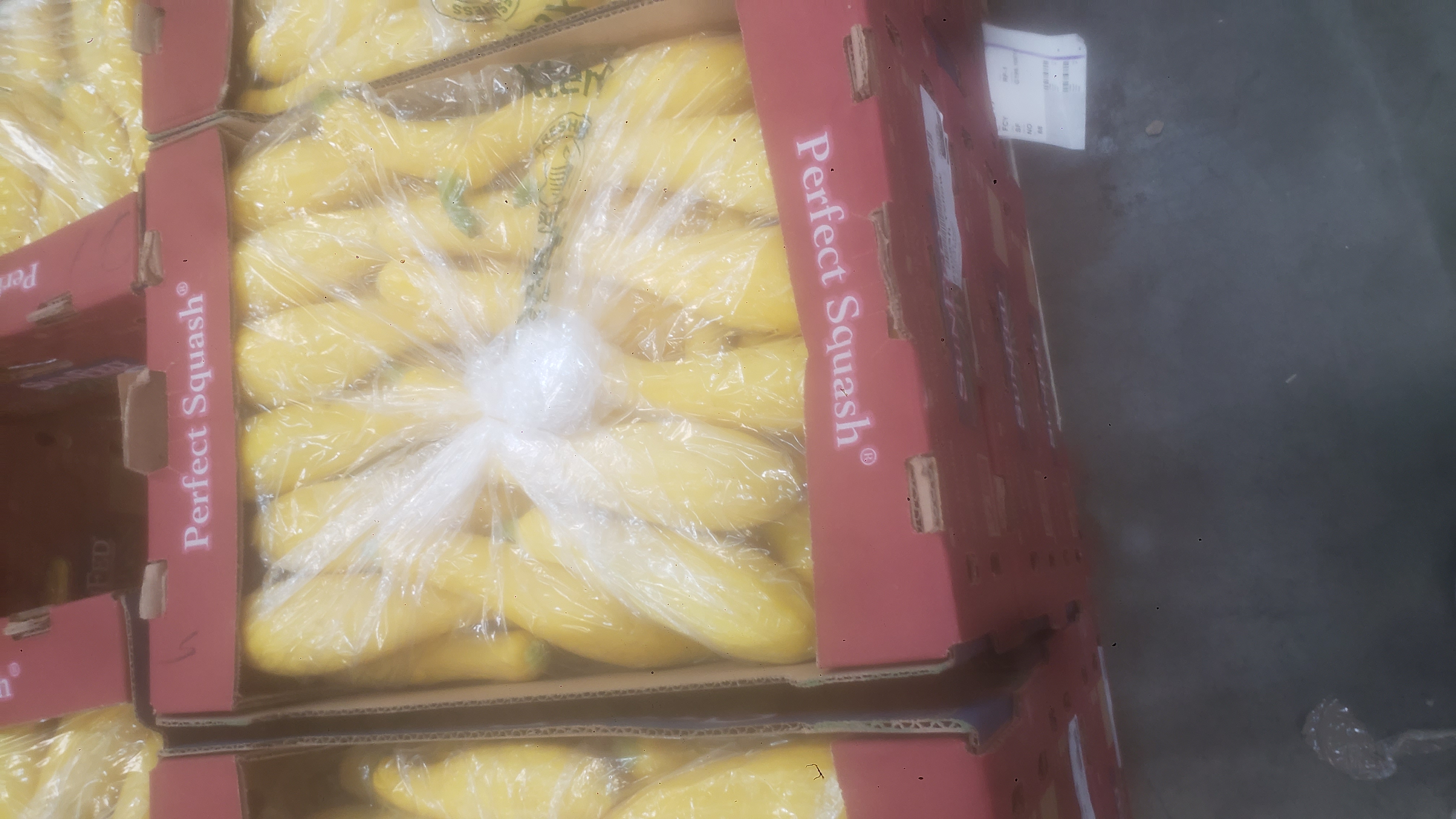 Summer squashes covered in plastic and placed in a tray.